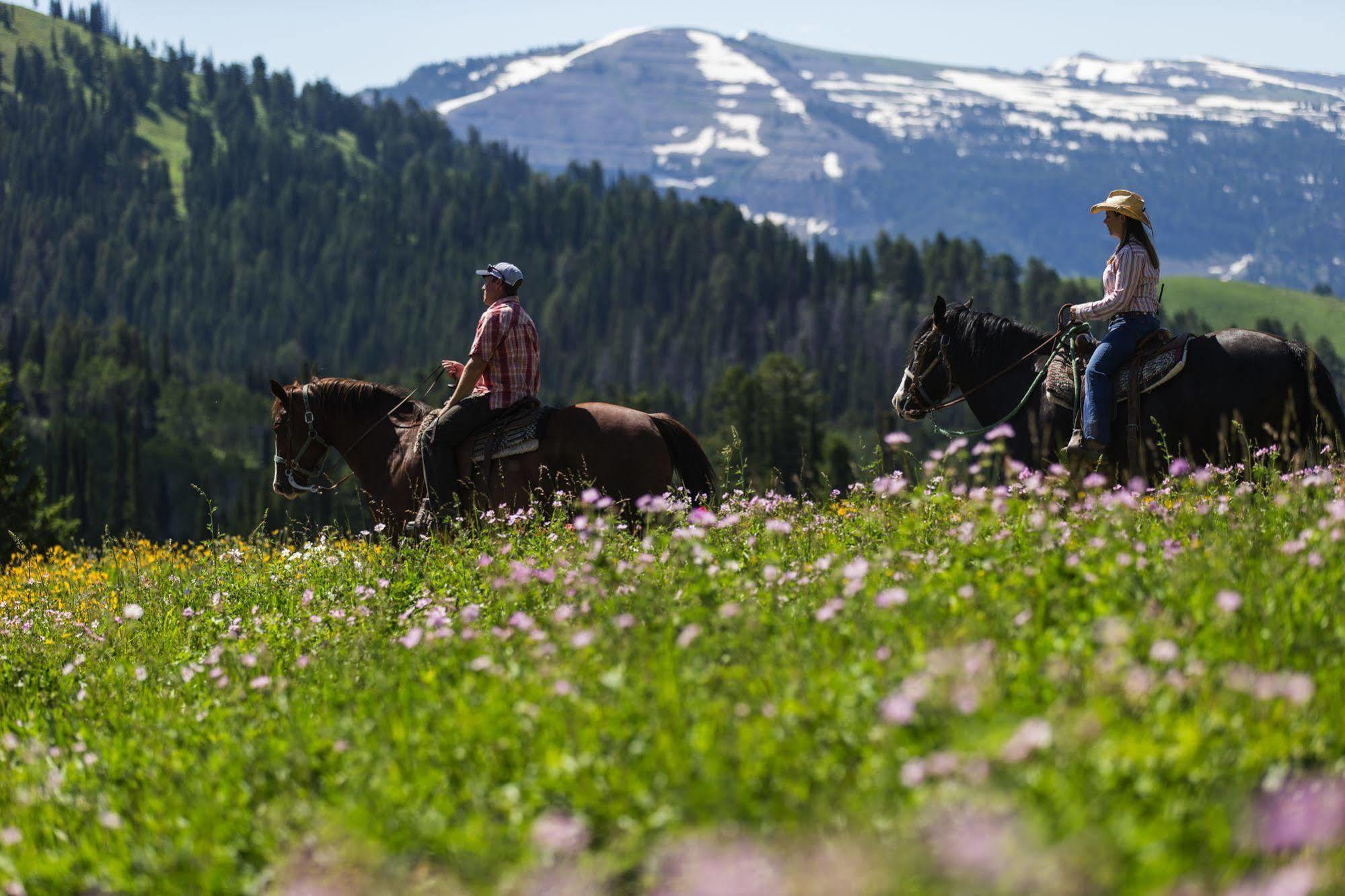 Sioux Lodge By Grand Targhee Resort 阿尔塔 外观 照片