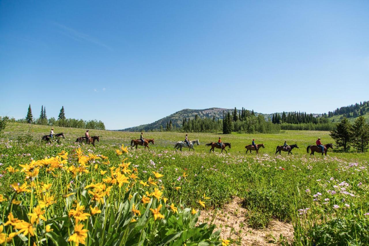 Sioux Lodge By Grand Targhee Resort 阿尔塔 外观 照片